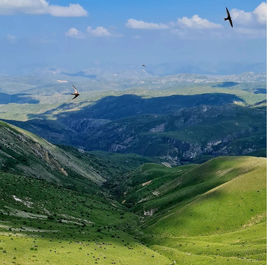 ÖYKÜMEN EDEBİYAT SAYI 10 (Temmuz-Ağustos)