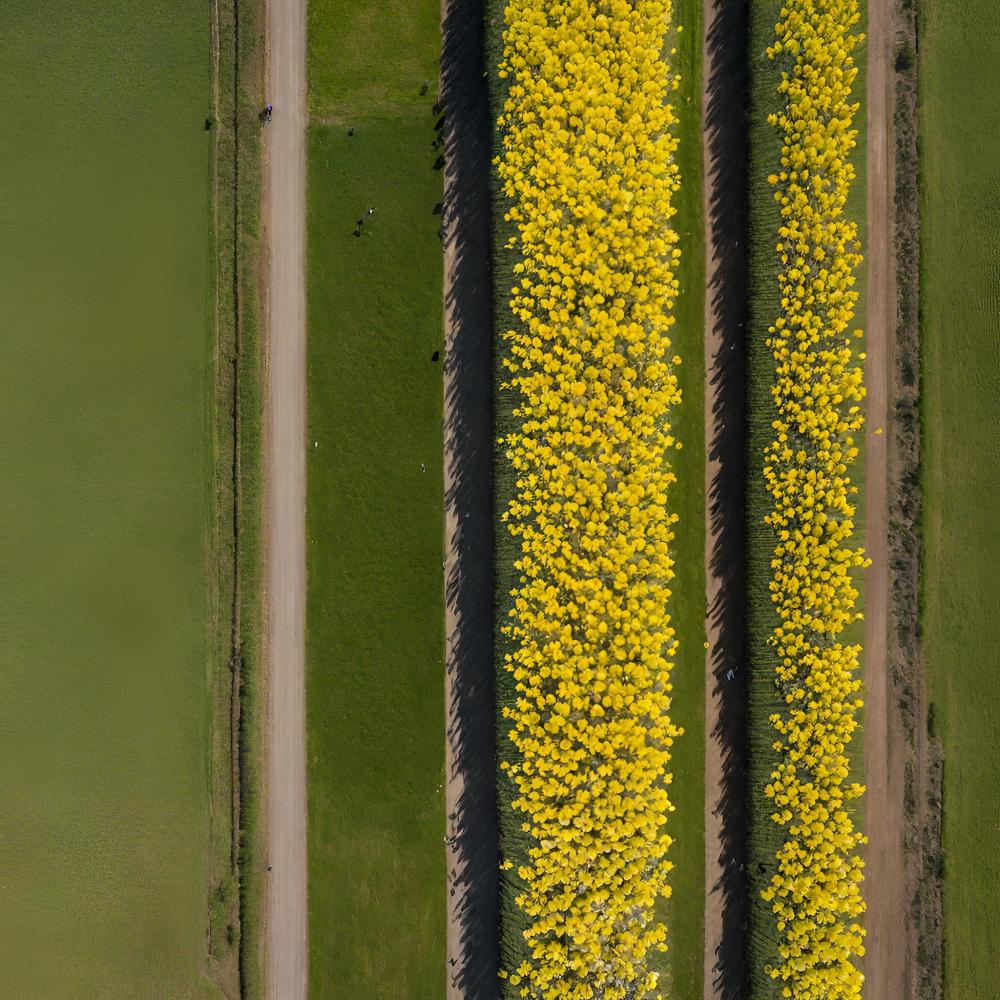 ÖYKÜMEN EDEBİYAT SAYI 14 (Mart-Nisan)